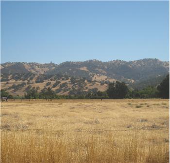  County Road 49, Guinda, CA
