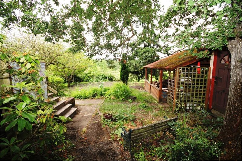 back patio