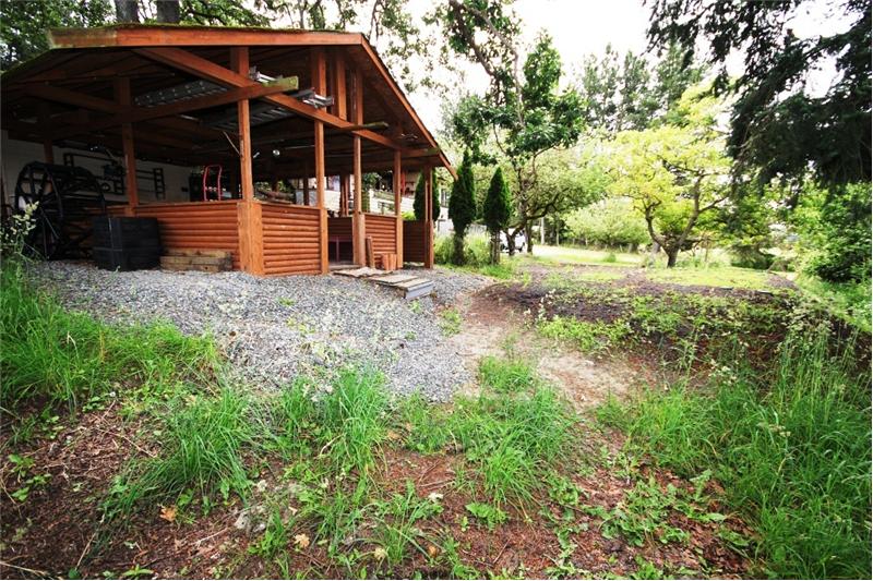 back yard