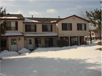 335  Jefferson CT 335, Vernon Hills, IL