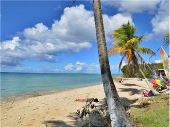 Croix Real Estate on 00840  Usa   Oceanfront Beach Bar  St Croix Usvi   Real Estate Listing