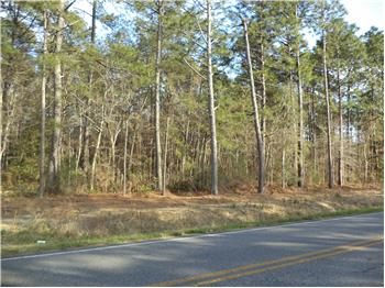 Tract 33 Hwy. 50, Little River, SC