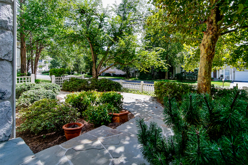 Stone Walkway