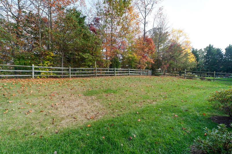 Fenced Backyard