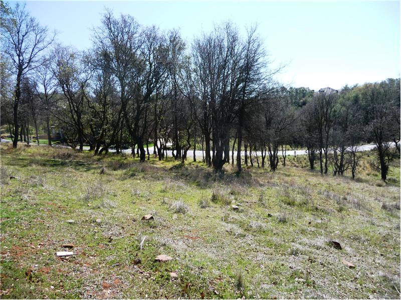 From the back of the lot looking toward Errante Drive.
