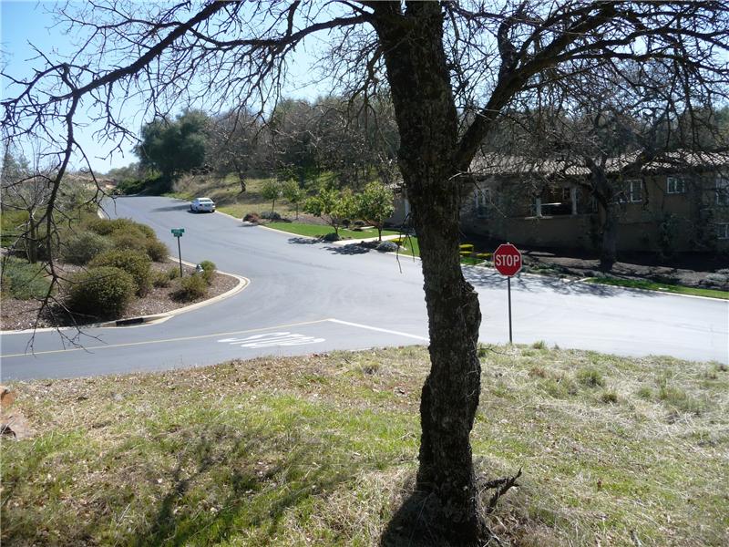 From the top of the lot looking at the far corner of Errante Drive and Borra Court.