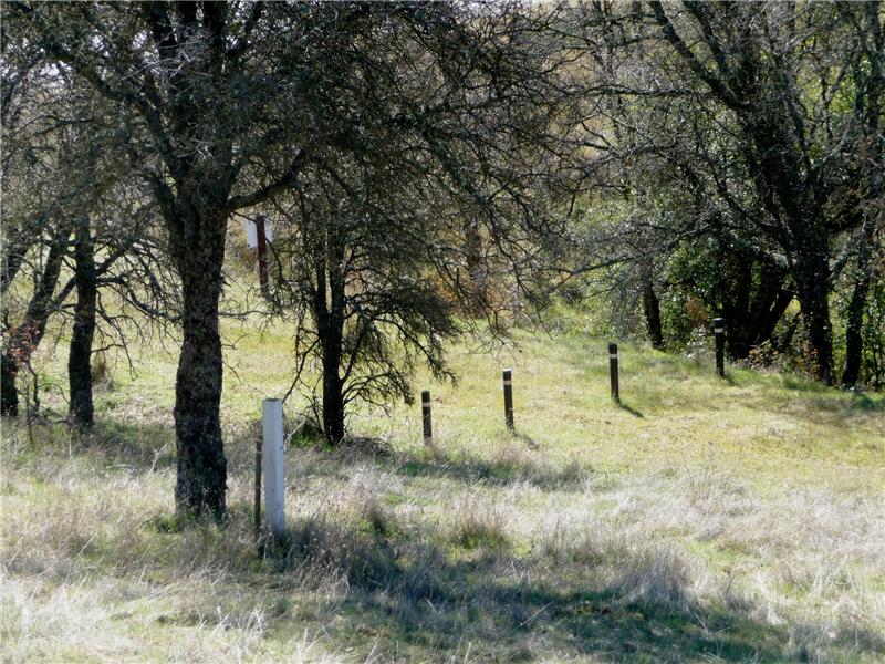 Natural walking trail / greenbelt borders the western side of the lot.