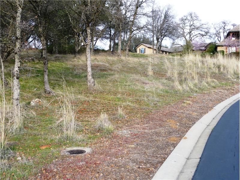 From the south west corner on Errante Drive looking up towards Borra Court