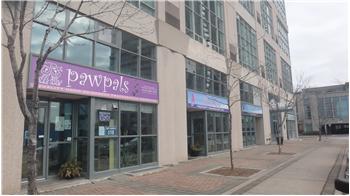 274  Manitoba St 4, Toronto, ON