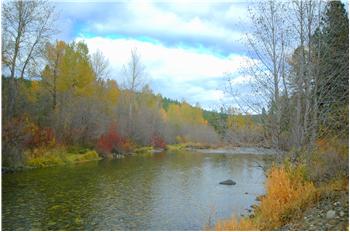  TBD Tax 9 HES 65 off FS RD, Twisp, WA