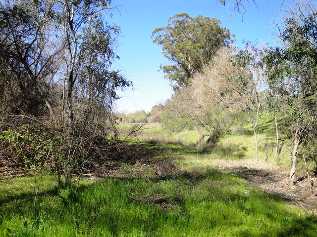 Back Down in The Creek Bed