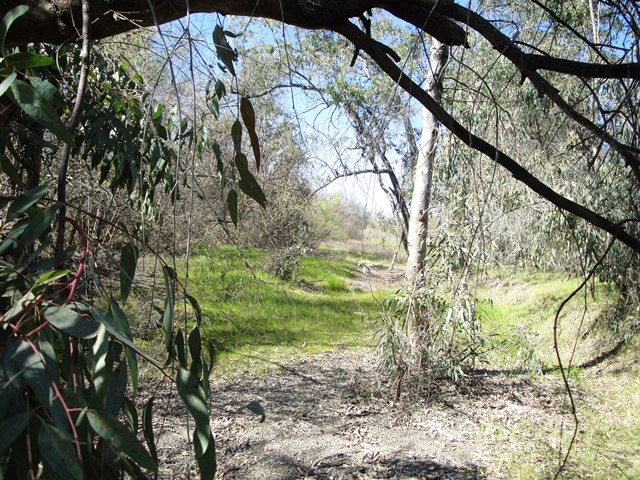 down in the Dry Creek Bed
