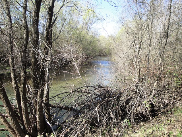 Dry Creek, So Beautiful