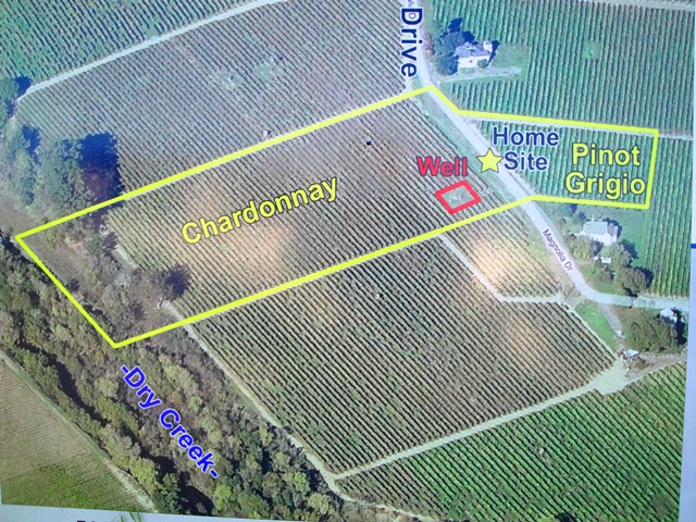 Overview of Healdsburg Vineyard for Sale