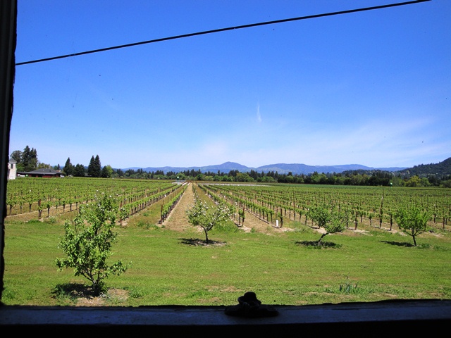 This Could Be Your View Looking North