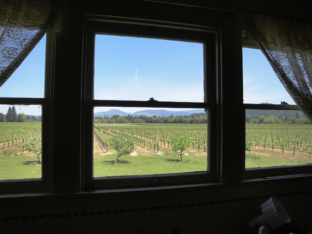 View North From Neighbors Kitchen Window