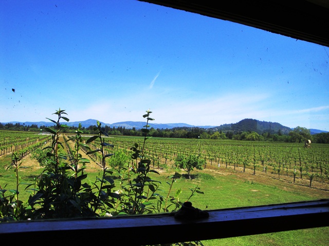 This Could Be Your View Looking East