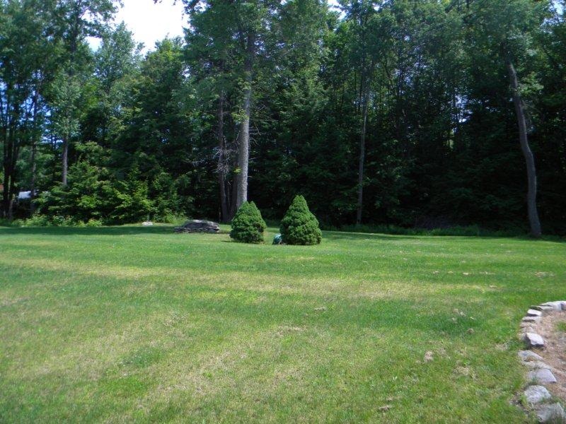 BEAUTIFUL YARD