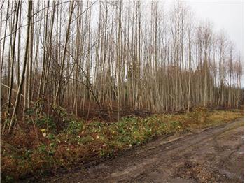  Lot #4 Chilcotin, Powell River, BC