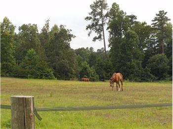 413  Cooke Road, Louisburg, NC