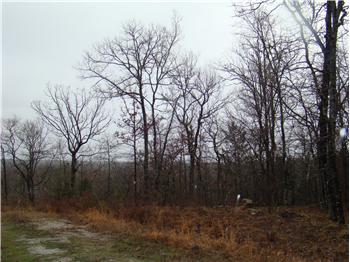  Lots For Sale Near Pine Creek Lake, Wright City, OK